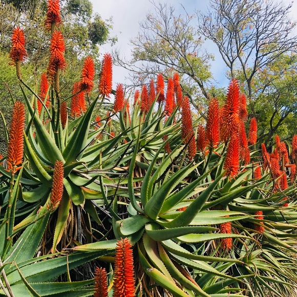 Meet your Posher, Jocelyn - Picture 2 of 4